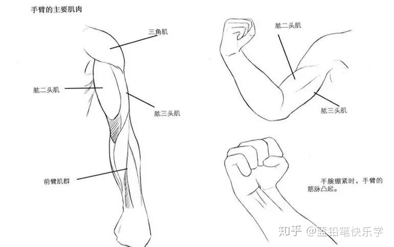 男人左手臂上长痣图解_左手臂有胎记的男人_男人左手臂上有胎记