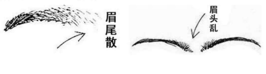 中国手相学陈鼎龙_正方体的截面中_眉毛中间断了一截面相学意味着什么