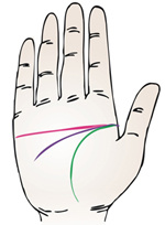 手相智慧线上有十字纹算命图解_为什么手相感情线和智慧线是连的_手相智慧线中间分叉