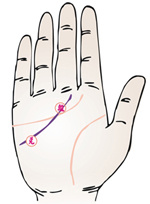 手相智慧线中间分叉_为什么手相感情线和智慧线是连的_手相智慧线上有十字纹算命图解