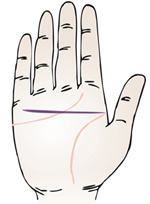 手相智慧线中间分叉_手相智慧线上有十字纹算命图解_为什么手相感情线和智慧线是连的