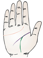 手相智慧线上有十字纹算命图解_为什么手相感情线和智慧线是连的_手相智慧线中间分叉