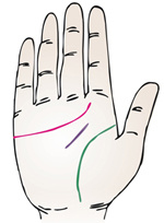 手相智慧线上有十字纹算命图解_手相智慧线中间分叉_为什么手相感情线和智慧线是连的