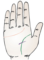 手相智慧线上有十字纹算命图解_手相智慧线中间分叉_为什么手相感情线和智慧线是连的