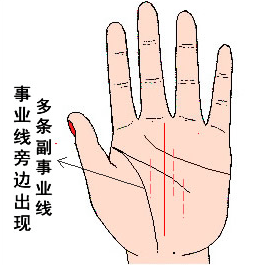感情 线 手相_感情线两条平行最后合成一条手相_手相大拇指第一节有两条平行纹
