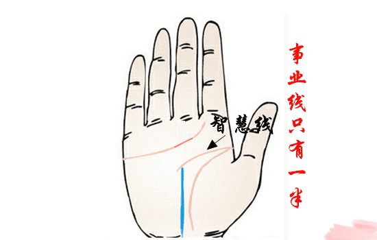感情 线 手相_手相大拇指第一节有两条平行纹_感情线两条平行最后合成一条手相