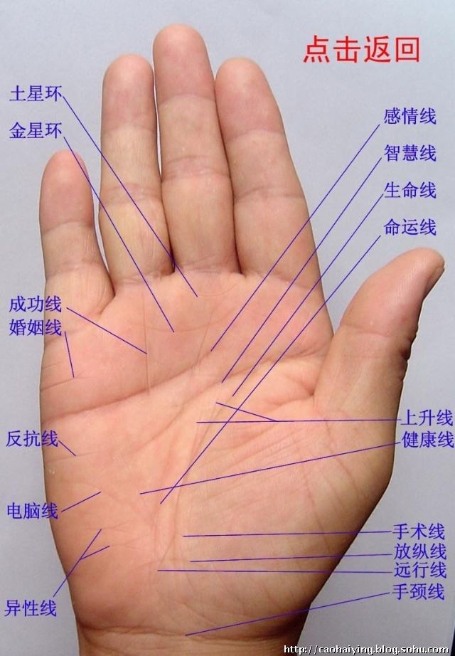 手相中感情线怎么看_手相事业线食指中指缝_成功线手相图解看