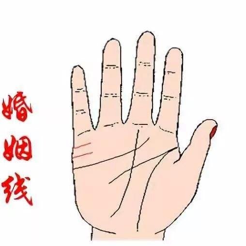 手相婚姻线清晰且水平延伸延伸的手相(图)