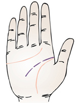 手相智慧线中间分叉_为什么手相感情线和智慧线是连的_手相智慧线上有十字纹算命图解