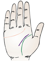 手相智慧线中间分叉_手相智慧线上有十字纹算命图解_为什么手相感情线和智慧线是连的