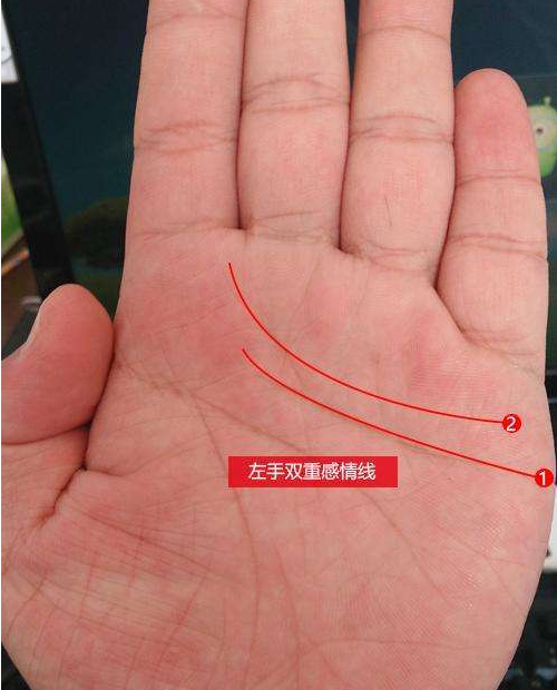 手相感情线与手指根部间有条线_女性手相事业线成功线_手相学感情线