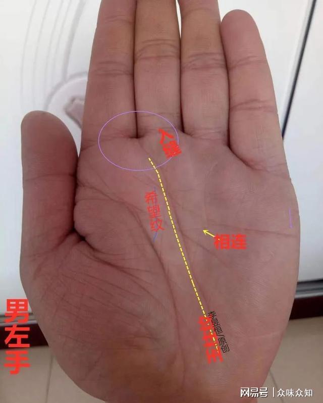 手掌的三条线正确图解，男人看手相算命图解