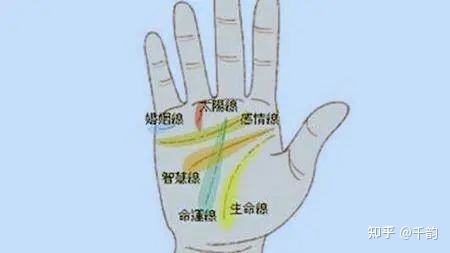 男人左手手纹算命图解男人掌纹代表什么含义呢?(组图)