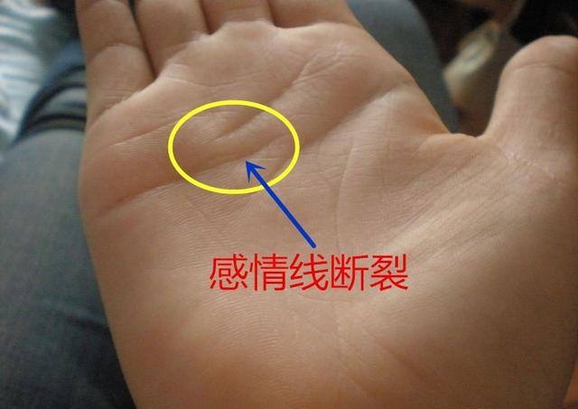 手相学里叫“天纹”，感情线是身体手掌心上的三大主线