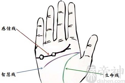 手相学里叫“天纹”，感情线是身体手掌心上的三大主线