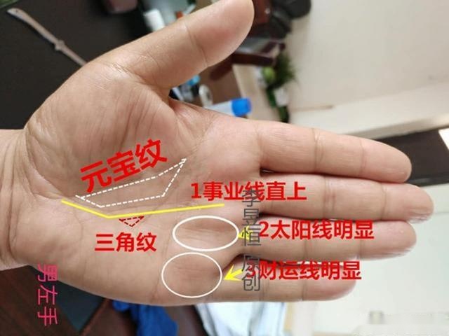 看手相的专业术语有哪些中国的相术分为很多种，无论是哪一种
