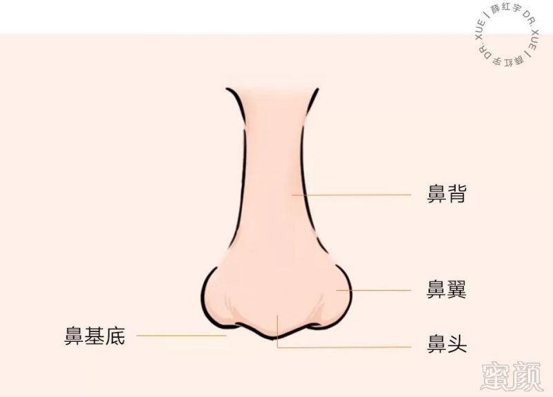 女人鼻头大面相分析，女人鼻子大代表着什么吗？