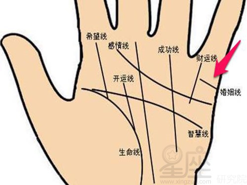 女生右手手相图解生命线的起点在拇指根线与食指