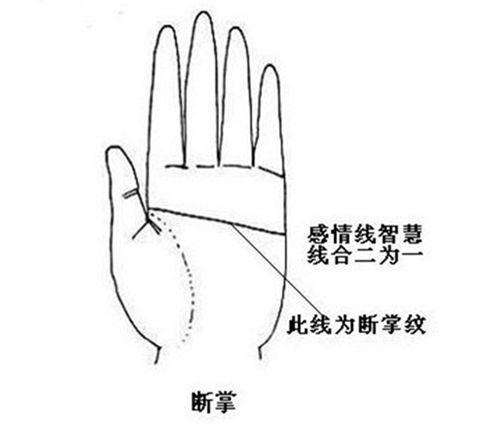 手掌中的纹理交错纵横，你知道什么是断掌纹吗？