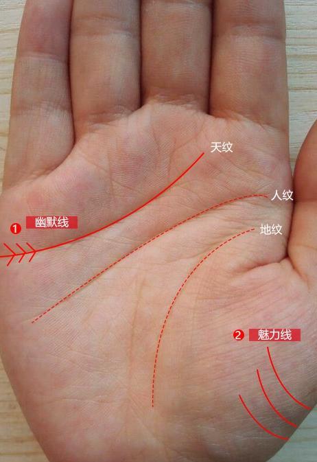 （李向东）手掌上常见的一般线与纹所代表的意义