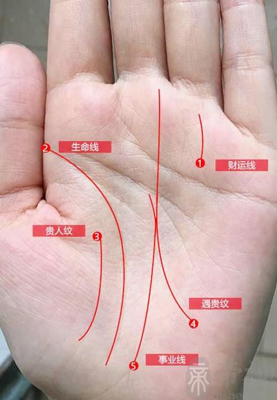 （李向东）手掌上常见的一般线与纹所代表的意义