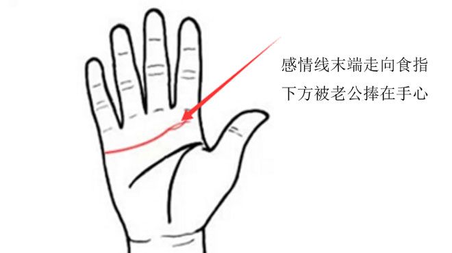 手掌纹路图解男性感情线是什么意思？
