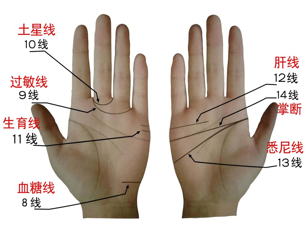 男人左手手相的三条线代表什么三个线