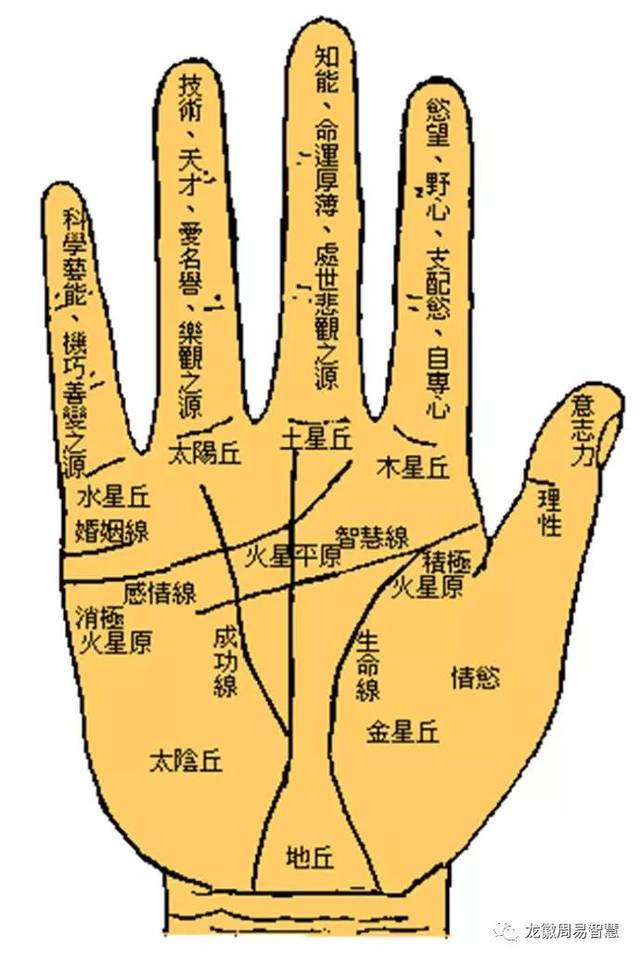 风水堂:手相看左手还是右手?