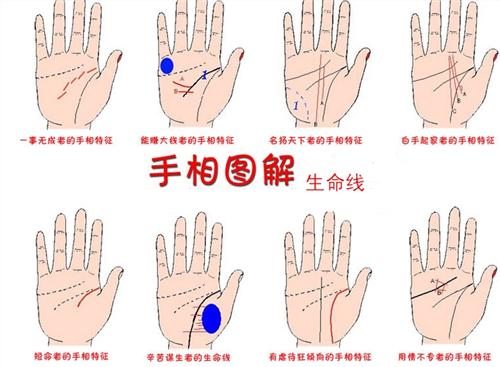 手相掌纹分析—生命线看哪只手，左手还是右手？