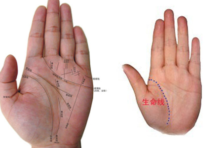 手相掌纹分析—生命线看哪只手，左手还是右手？