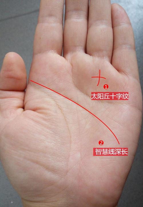 手相学手纹线分别代表什么手纹三条线