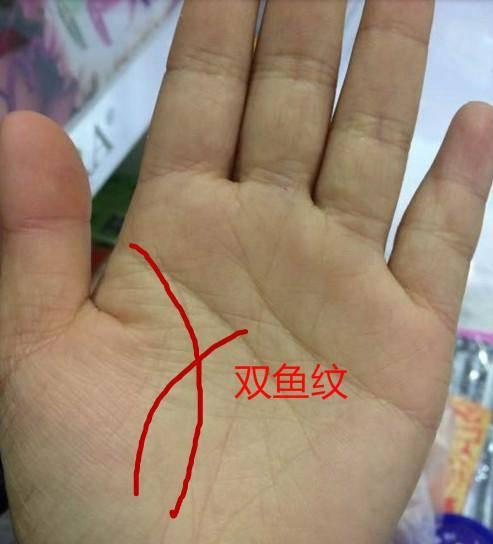 风水堂:男人左手手纹算命图解!