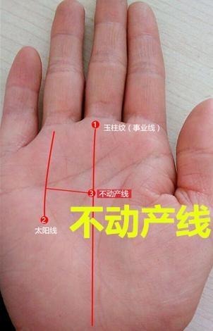 手纹的财运纹在哪个位置怎么看手相财运线?