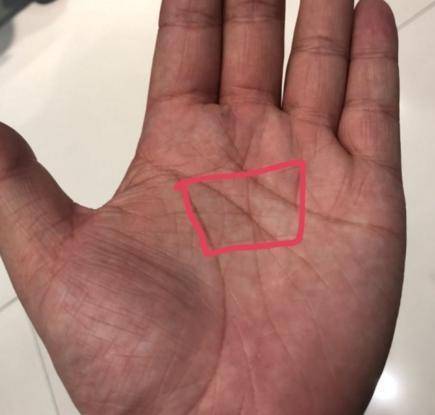 男人左手手心有三角形纹的手相 80年代的空气真的很甜，因为它们都很日常